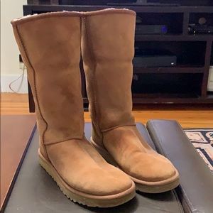 Classic Tall Chestnut Uggs